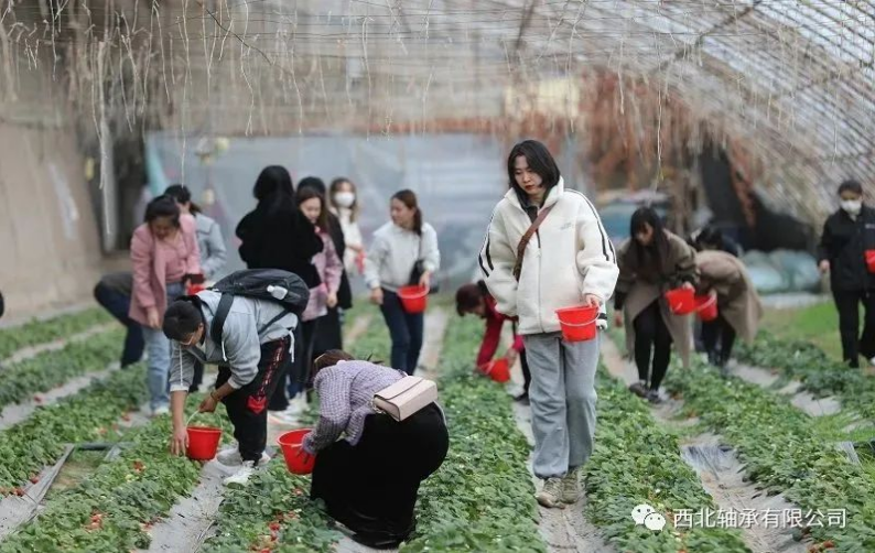 尊龙凯时人生就是博·「中国」官方网站